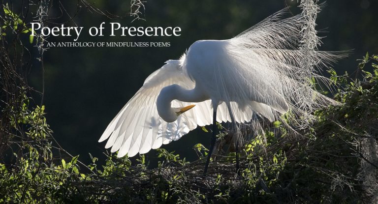 Poetry of Presence Discussion Series with Rosemerry Wahtola Trommer